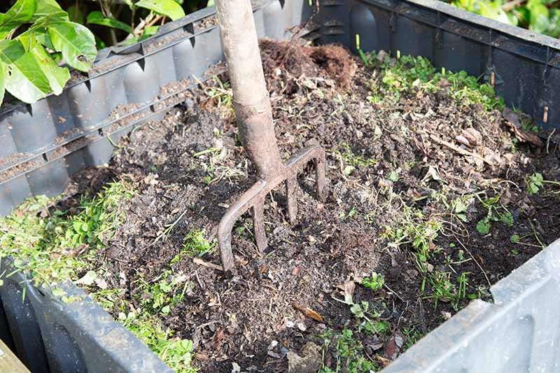 Composting garden plants