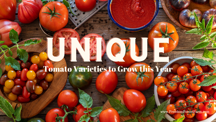 Various Heirloom Tomato Varieties