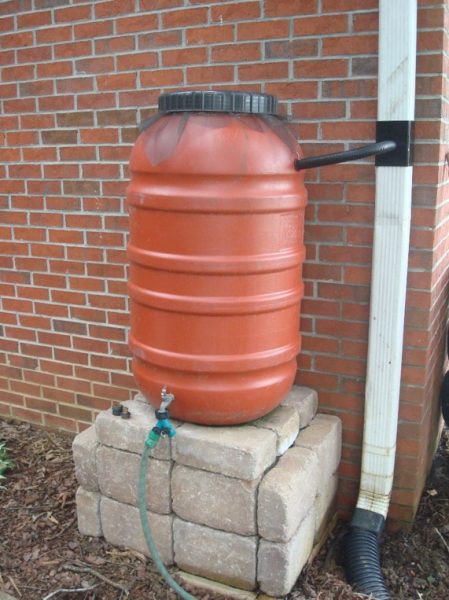 Harness the Rain: Building a DIY Rain Barrel Sy...