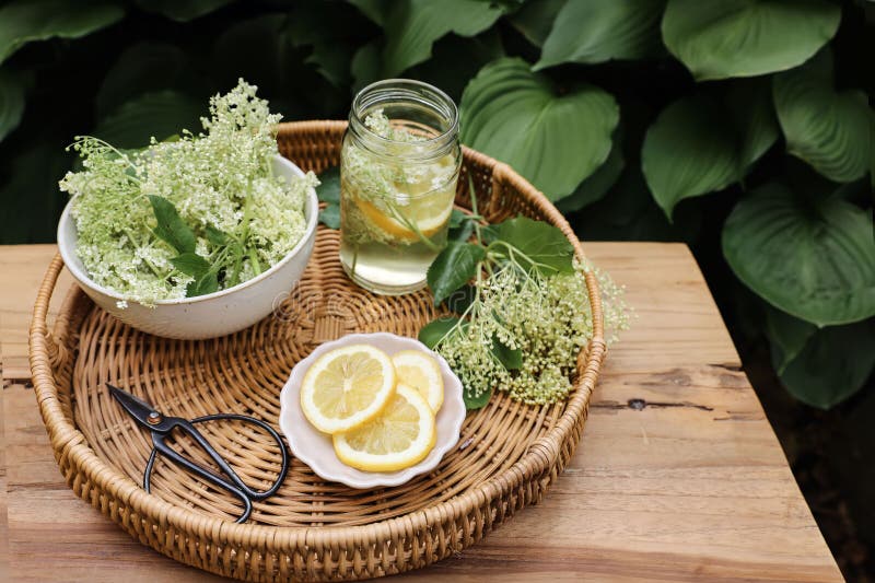 Glass of Elderflower Herbal Lemonade