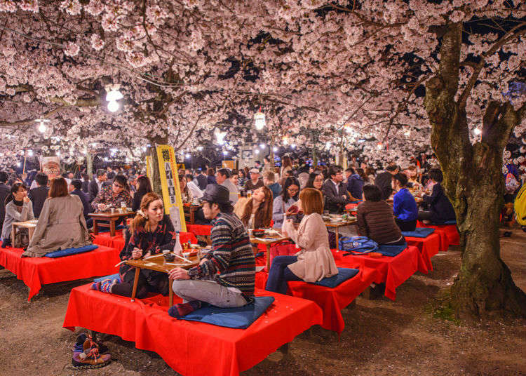 # Kyoto Cherry Blossom Season: A First-Timer's Imm...