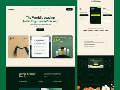 vibe marketing success