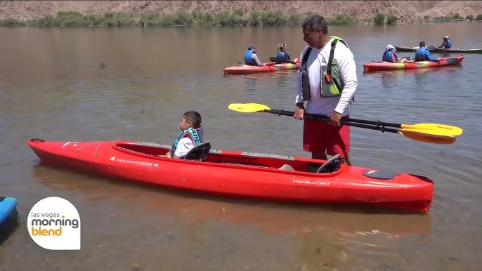 Project Nevada Logo.