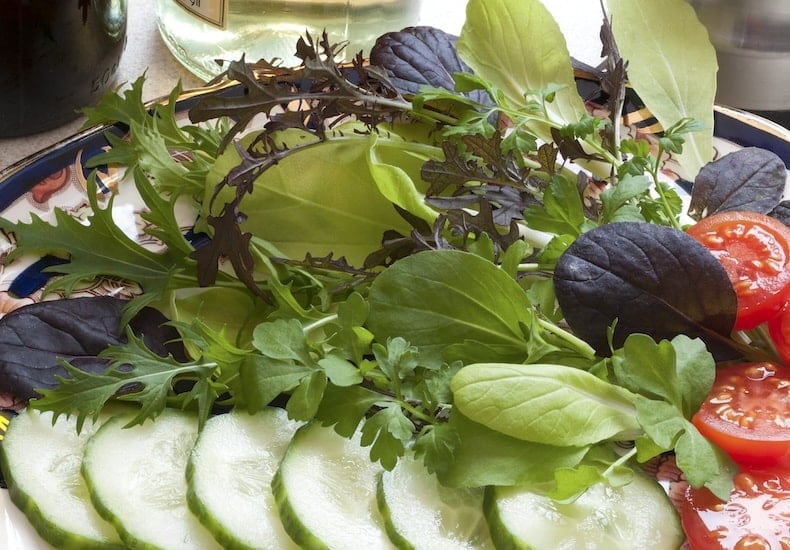 Freshly Harvested Salad