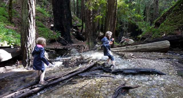 ## Kirk Creek Campground: A Single Mom's Guide to...