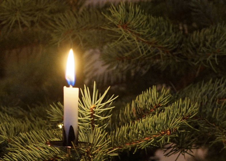 A close-up of red holly berries adding a pop of color to the evergreen decorations of a Yule Log, enhancing its festive winter appearance.