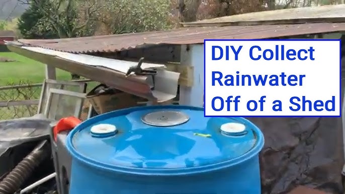 Filled rain barrel