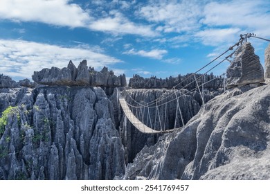 Sunrise over the Tsingy de Bemaraha Strict Nature Reserve, showing the sharp limestone formations bathed in golden light