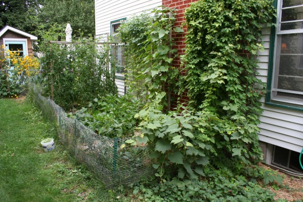 Unleash the Power of Herbs: Build a Permacultur...