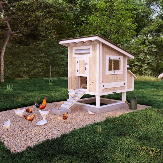 Before homestead chicken coop