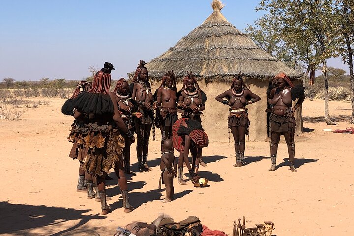 Elephants at Okaukuejo Waterhole