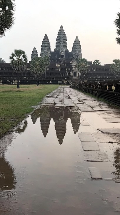 Panoramic view of rice paddies at sunrise in Siem Reap