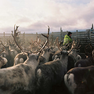 Aurora Borealis reflected on the surface of a frozen lake, with the silhouette of a person floating in a survival suit. The alt text emphasizes the surreal nature of the aurora floating experience and the stunning visual display of the Northern Lights.