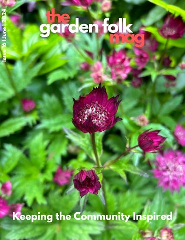 Herb Haven: Cultivating a Pollinator-Friendly A...
