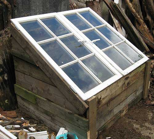 Cold Frame with Pallet and Window