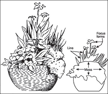Companion Planting: Unlock Nature's Synergy for...