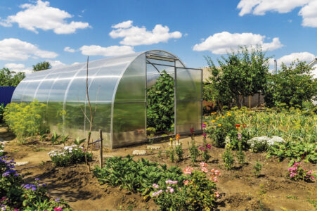 A hoop house for growing