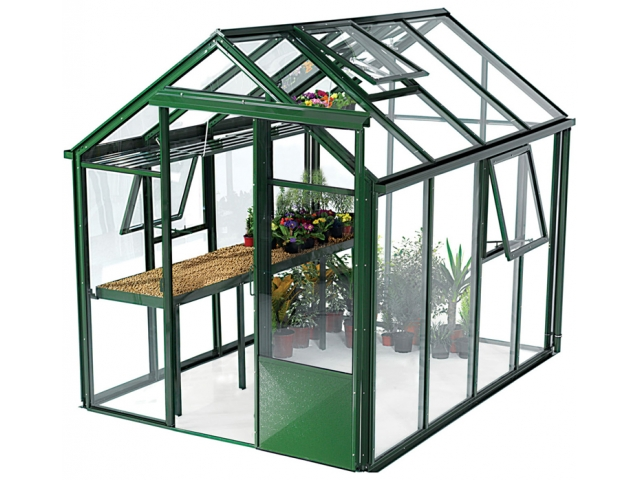 healthy seedlings farmhouse rustic