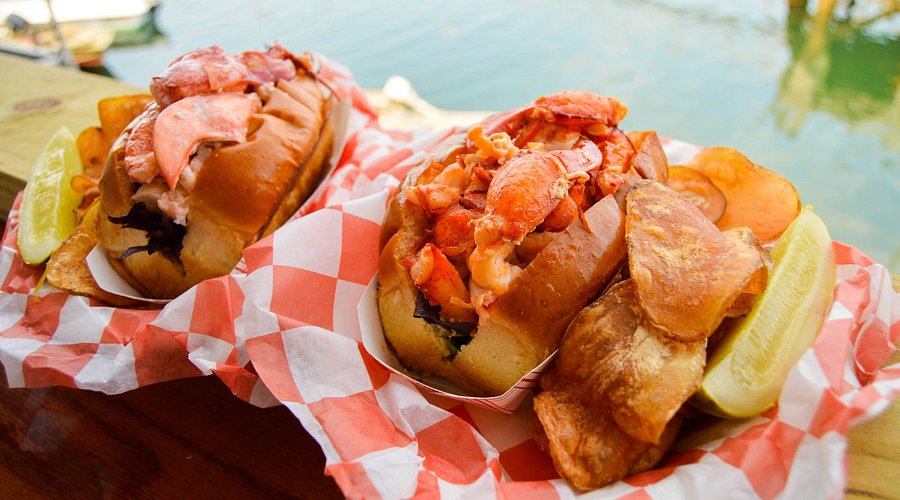 Acadia Wonderland Trail