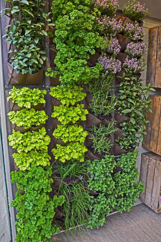 Small space garden ideas and maximum yields using various garden boxes.