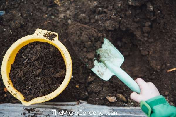 close-up soil rich dark earthworms