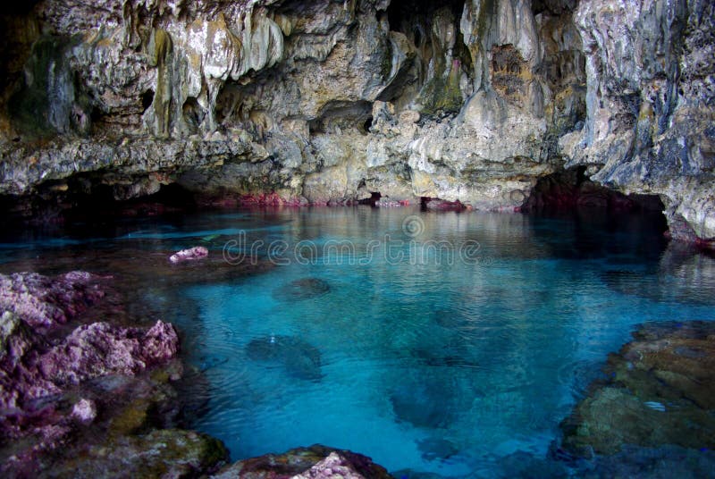 Takai Festival Performers