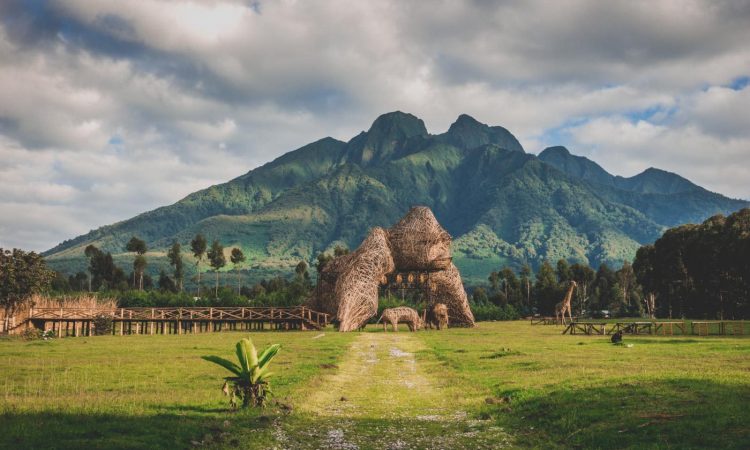 Gorilla Trekking Rwanda