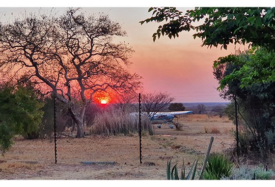 Guests participating in a guided nature walk, observing local wildlife