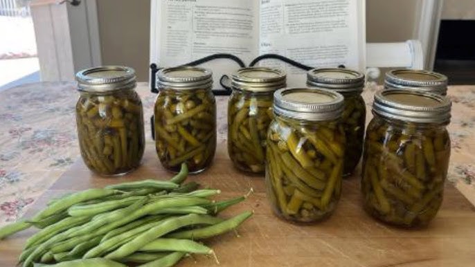 A close-up of jars of fermenting vegetables, with weights on top to keep them submerged.