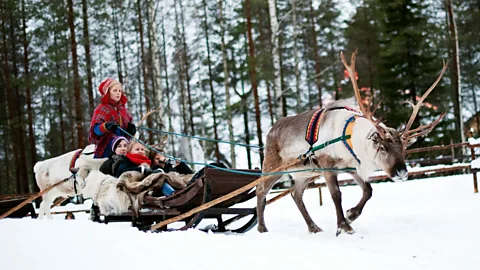 A reindeer pulling a sleigh through a snow-covered forest with a person riding in it