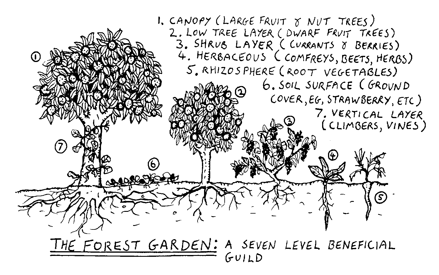 person adding compost garden bed
