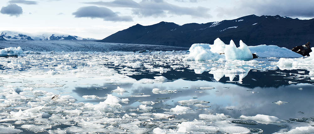 Screenshot of a calendar