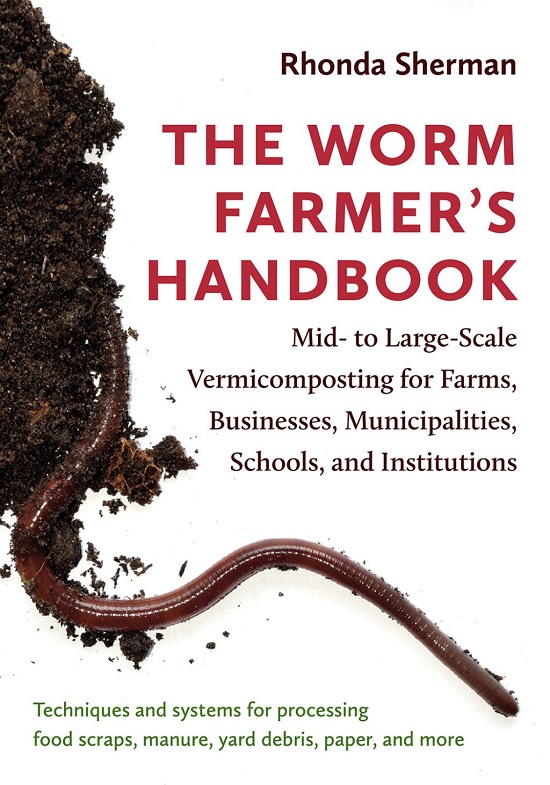 Close-up of red wiggler worms in bin