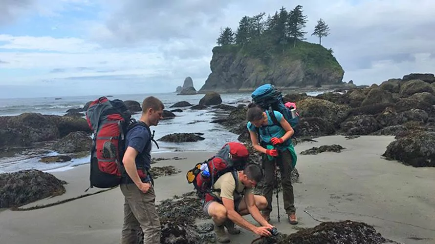 ## Olympic National Park: A Journey Through Three...