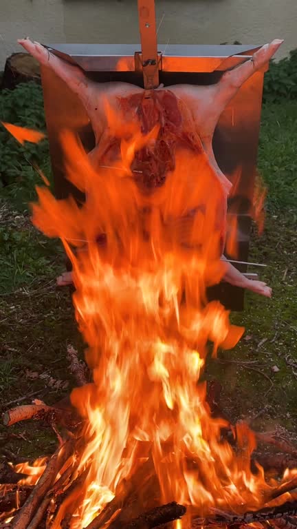 Laguna Torre Icebergs