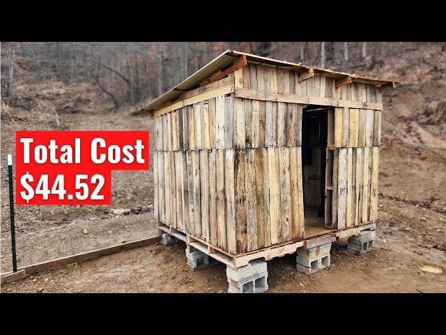 Chicken coop surrounded by fencing