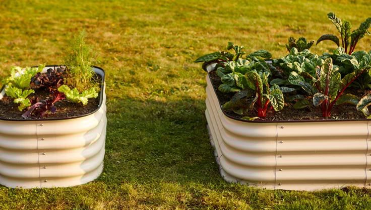 Various designs of raised garden beds, highlighting the diversity of options.
