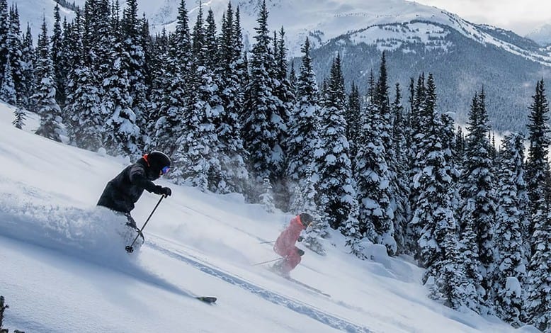 A skier carving through fresh powder with stunning mountain views in the background. The image captures the exhilaration of skiing in the Canadian Rockies and the vastness of the landscape.