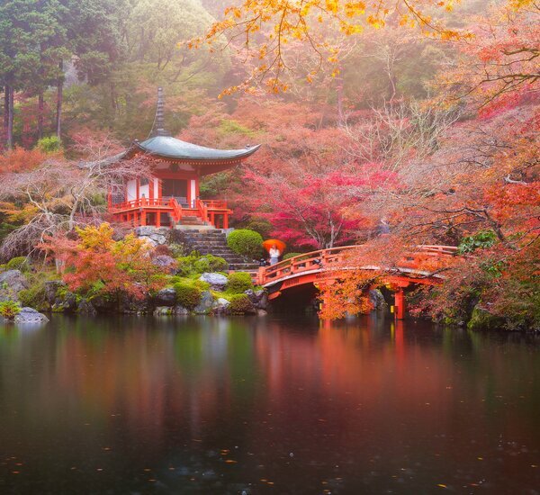 # Kyoto in Autumn: A Landscape Architect's Perspec...