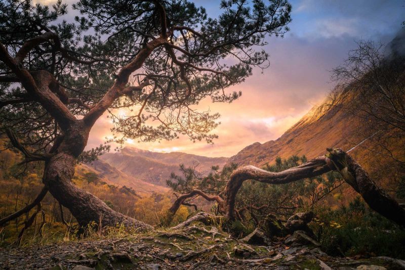 A stunning panoramic view of the Canadian Rockies reflecting in a pristine alpine lake. This image showcases the potential for capturing breathtaking reflections and the majesty of the mountain range, encouraging photographers to explore the area.