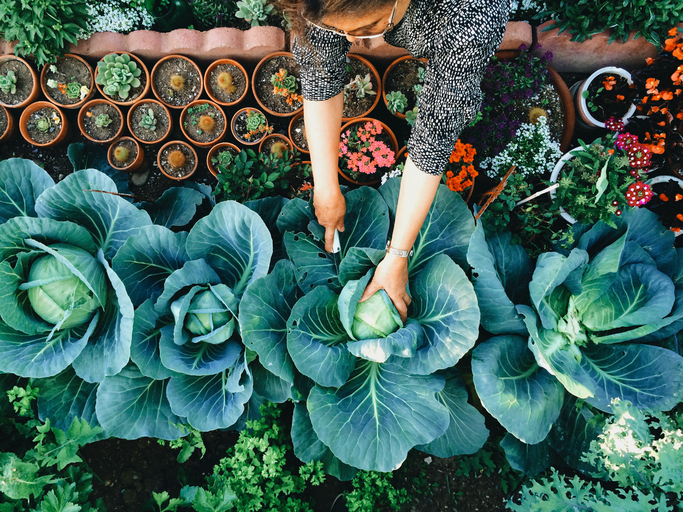 Sowing a Better Future: Why Regenerative Farmin...