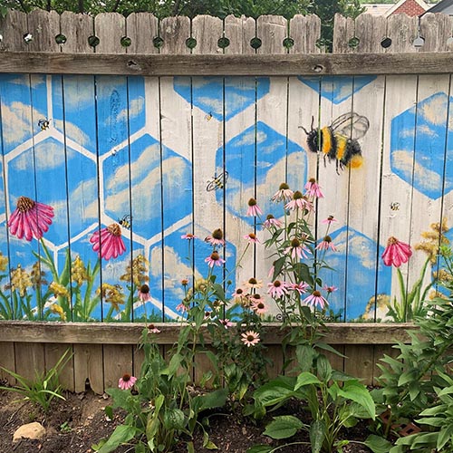 Swamp milkweed in garden