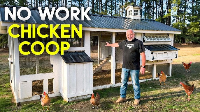 Chicken Coop Frame