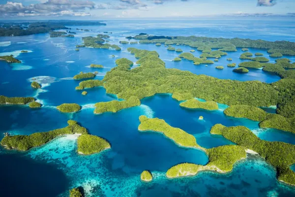 Divers observing sharks at Blue Corner in Palau, showcasing the strong currents and diverse marine life.