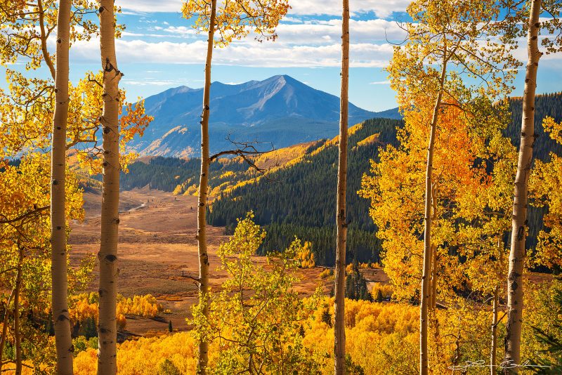Autumn colors along the Aspen Vista Trail, Santa Fe