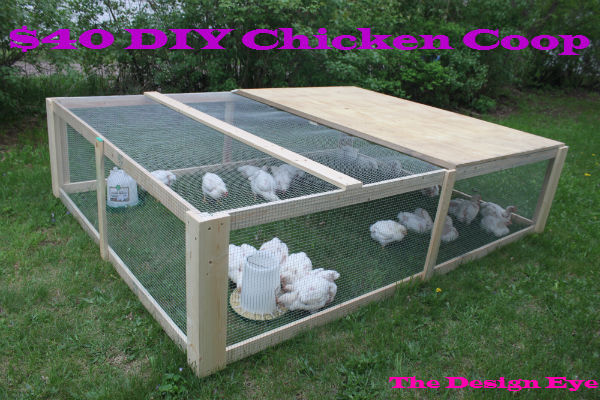 Different colorful styles of chicken coops.