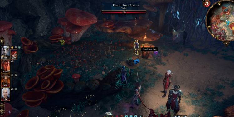 Baldur's Gate 3 graphical glitches screenshot