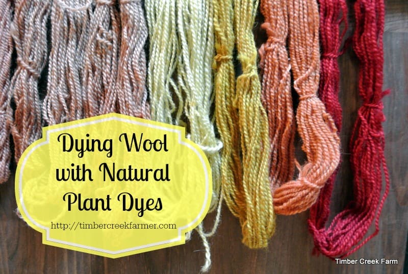 Dyeing with Nature: A Seasonal Guide to Homeste...