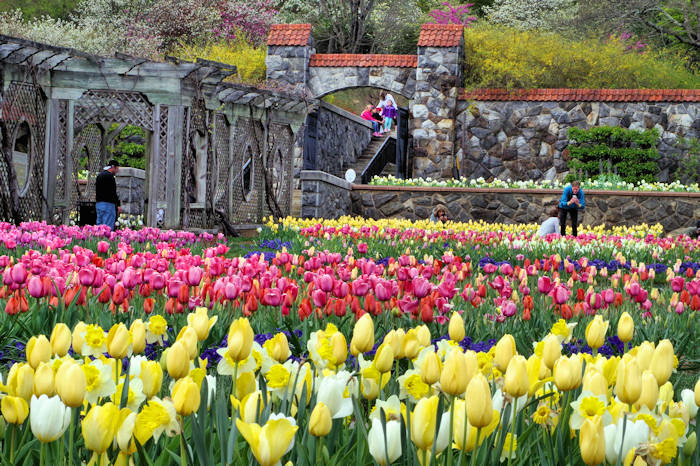 biltmore estate grounds