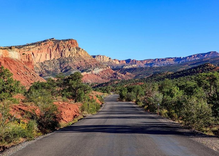 A scenic view of Capitol Reef National Park featuring sandstone cliffs and lush green orchards.